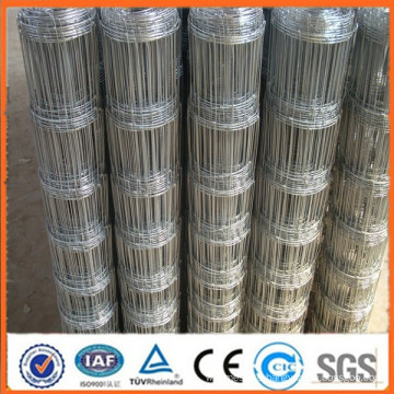 galvanized wire mesh for Horse Wire fence / grassland fence / field fencing(ISO certification)